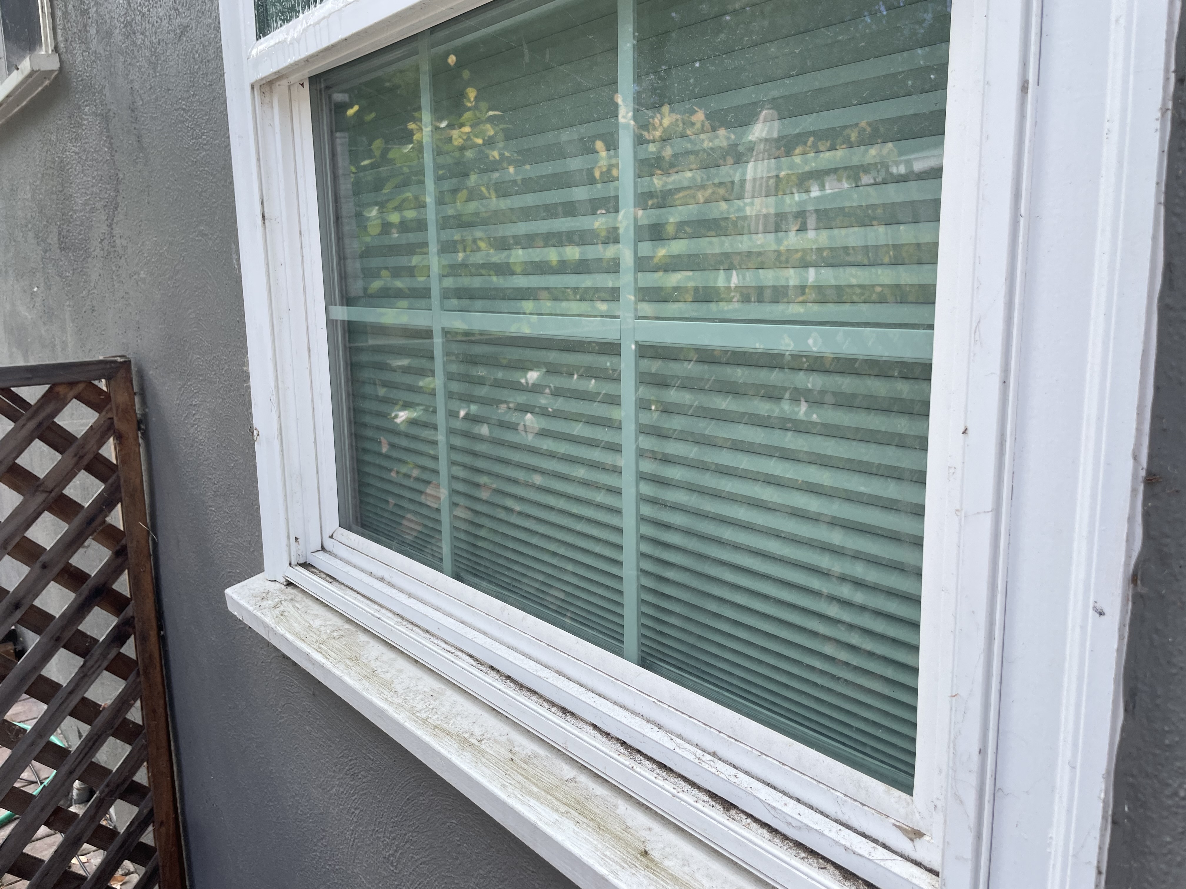 Same window after professional Glass Boyz cleaning - crystal clear glass with spotless results