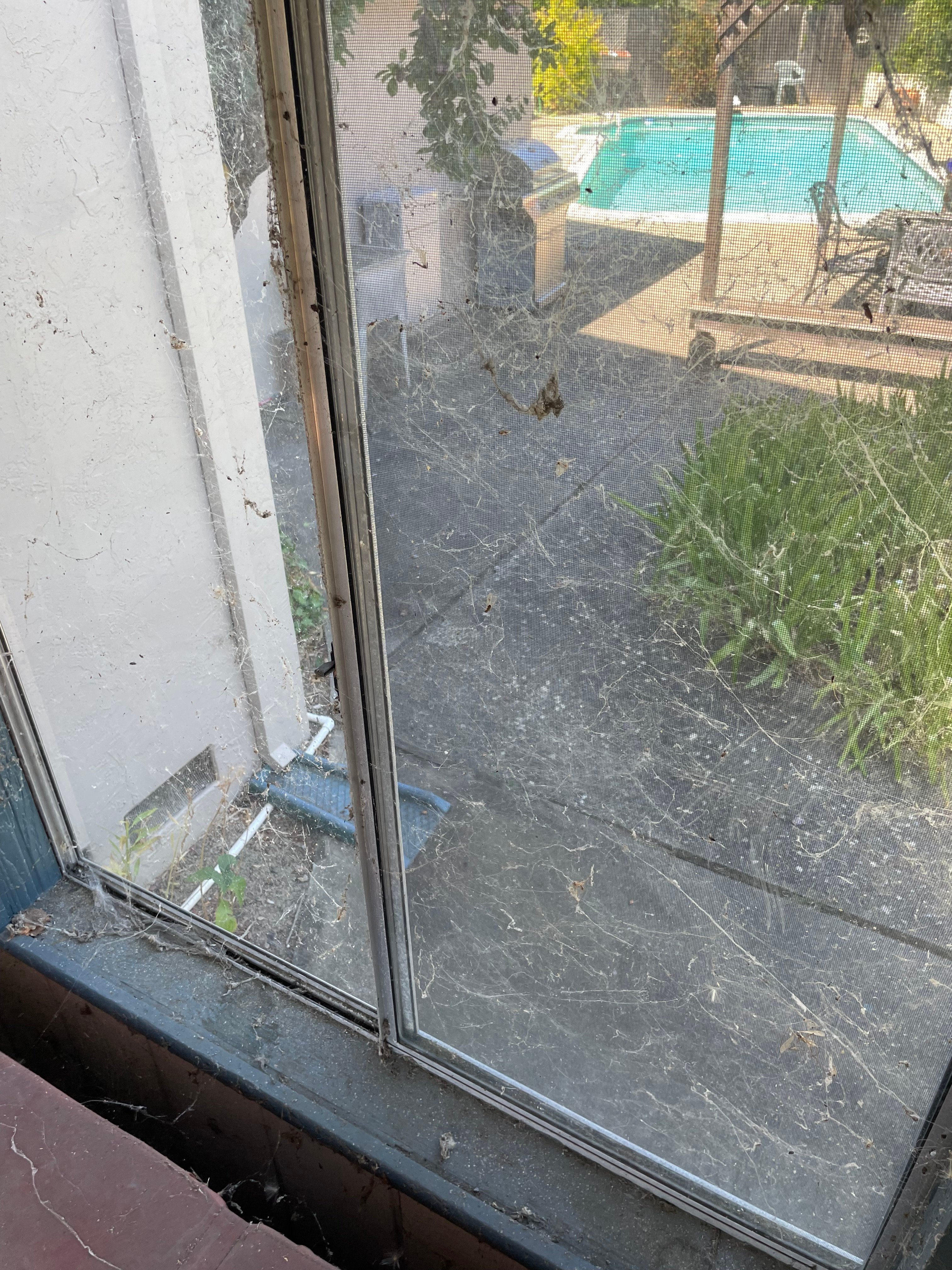 Same sliding door after Glass Boyz cleaning - perfectly clear glass with pristine visibility