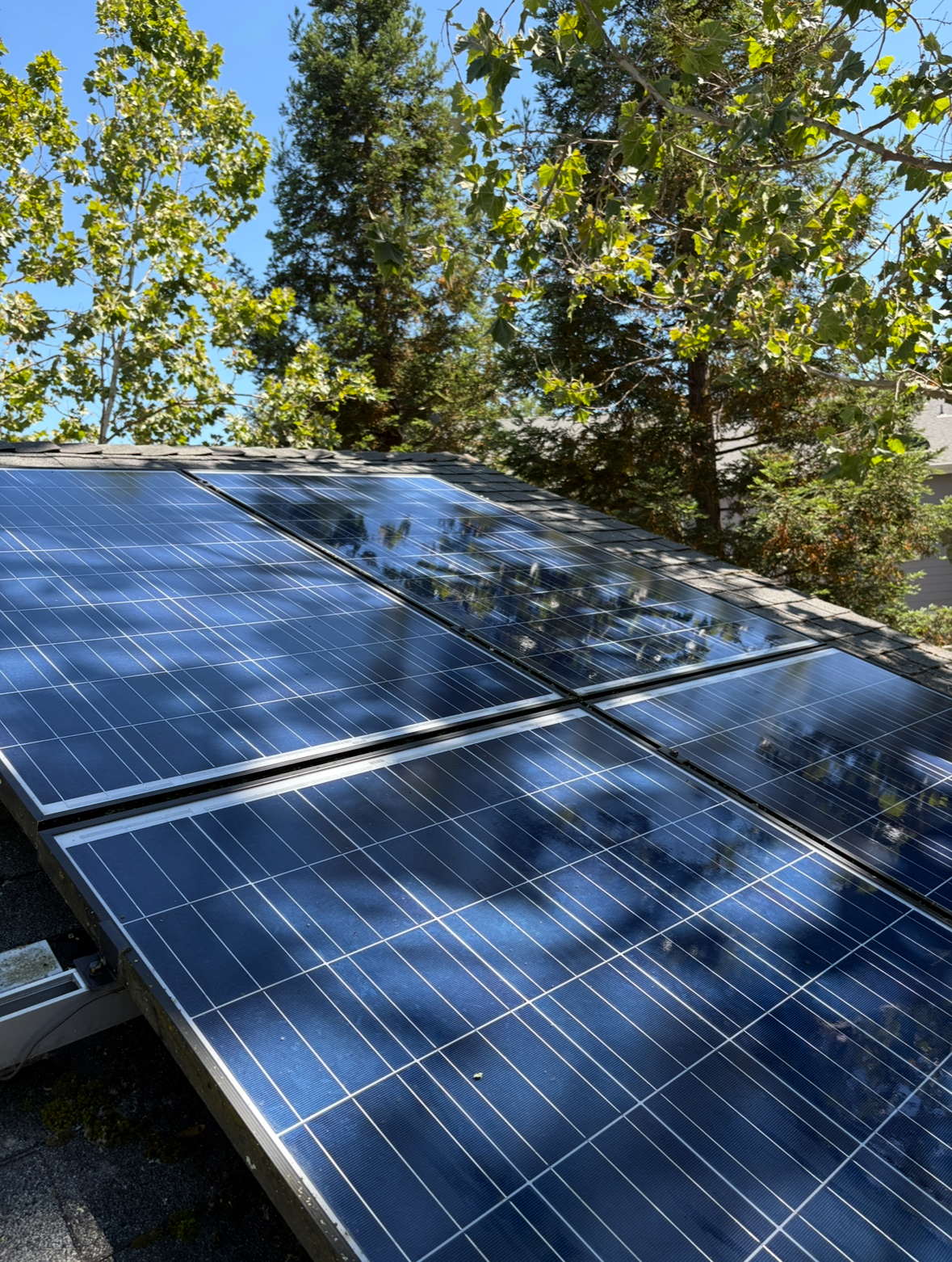 Clean solar panels with crystal clear surface and perfect tree reflections showing maximum energy efficiency